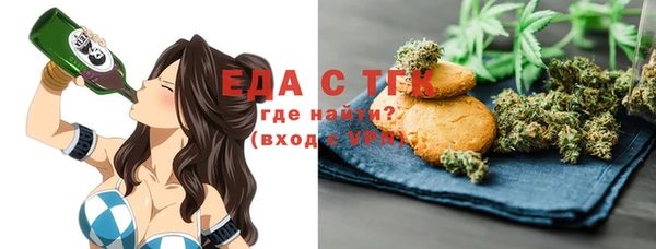 индика Мегион
