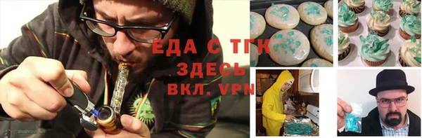 индика Мегион