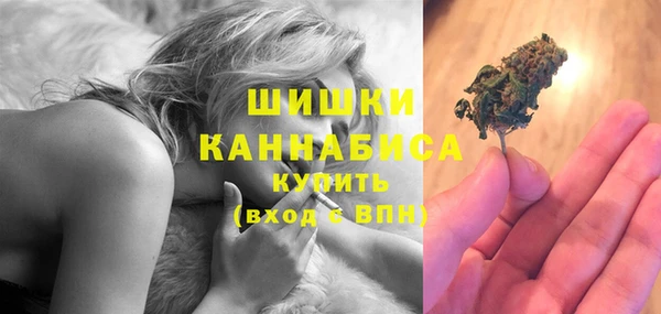 индика Мегион