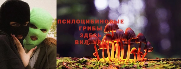 дмт Медногорск
