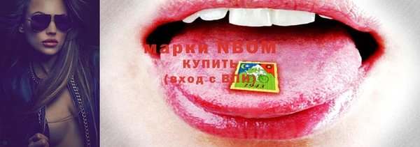 индика Мегион