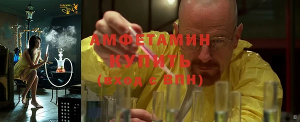 индика Мегион