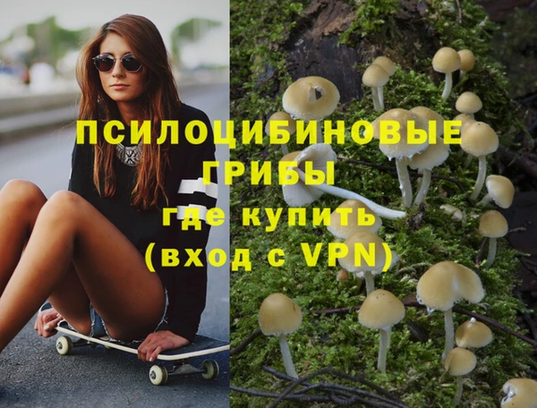 дмт Медногорск