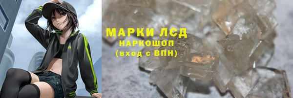 индика Мегион