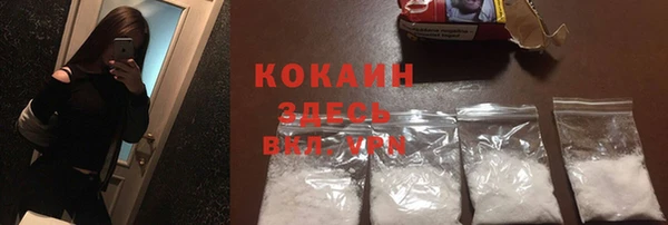 индика Мегион