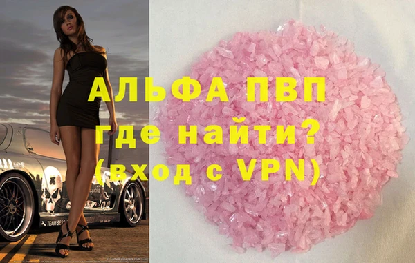 индика Мегион