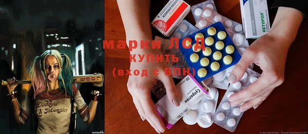 индика Мегион