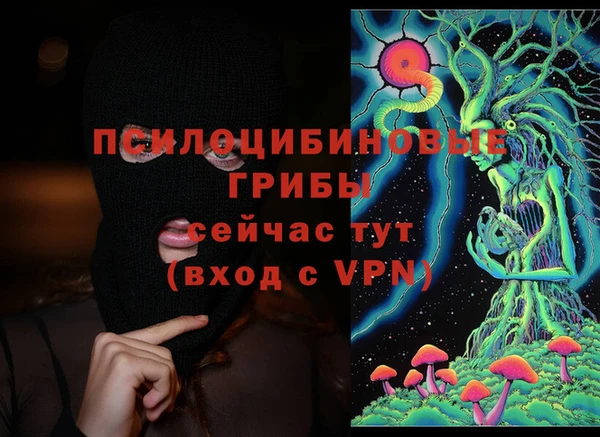 стафф Олёкминск