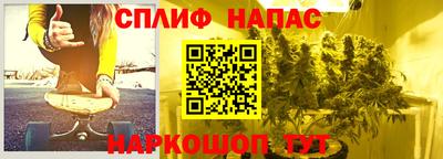 сатива Волжский