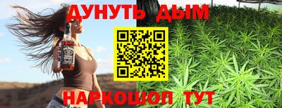 сатива Волжский