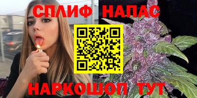 сатива Волжский