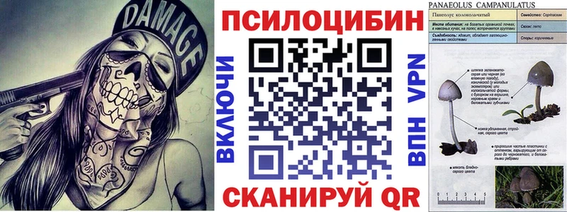 Псилоцибиновые грибы Psilocybine cubensis  KRAKEN ССЫЛКА  Майский 