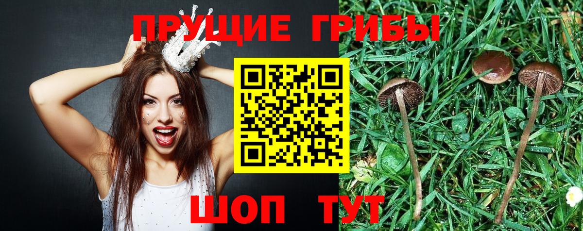 Галлюциногенные грибы мицелий  Вход с VPN  Майский 